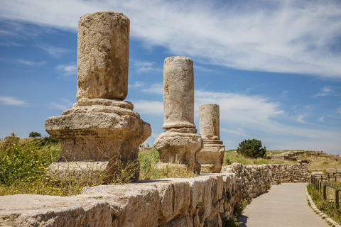 De la Mer Morte : Amman, Madaba et le mont Nebo Journée complèteTransport et billets d'entrée pour tous les sites