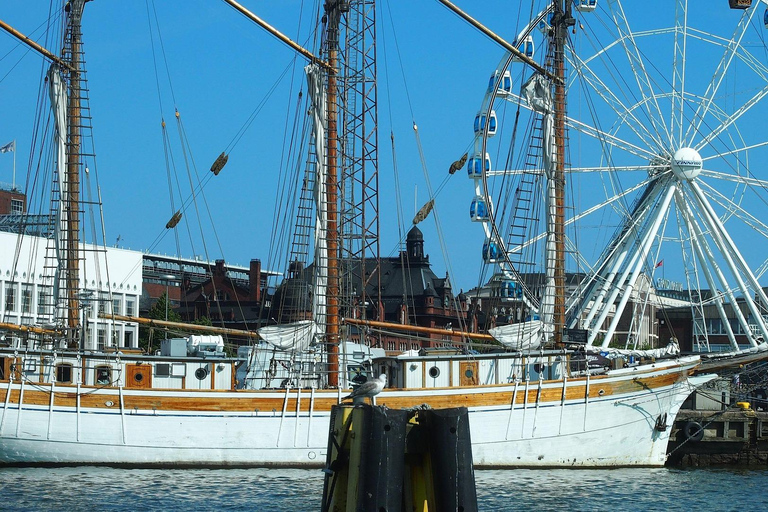 Helsinki: Guided Walking Tour of the Must-Sees with a French-Speaking Live Guide