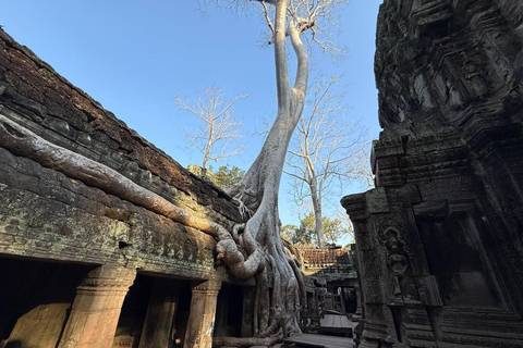 Angkor: 2-Day Private Tour in Spanish – Secret Temples and Banteay Srei Angkor: 2-Day Private Tour in Spanish – Secret Temples and Pink Banteay Srei