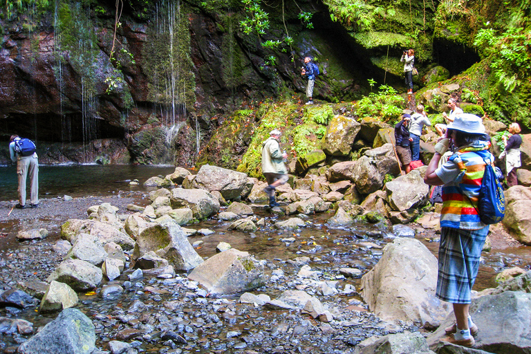 Excursión a Madeira: ruta de levada en el valle de RabaçalRuta por Levada en el valle de Rabaçal