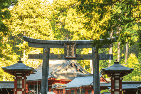 Tokyo: Nikko National Park Private Tour Hotel Pickup & Drop