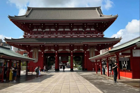 Tokyo Full-Day Private Tour with English-Speaking Guide
