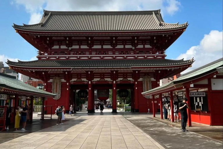 Tokyo Full-Day Private Tour with English-Speaking Guide