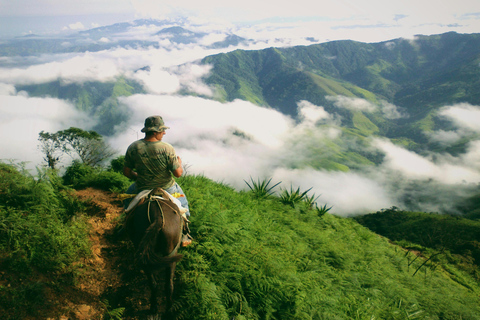 Fiji: Sabeto Valley Horseback Riding Tour