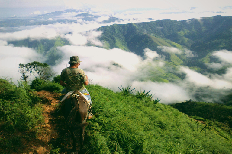 Fiji: Sabeto Valley Horseback Riding Tour