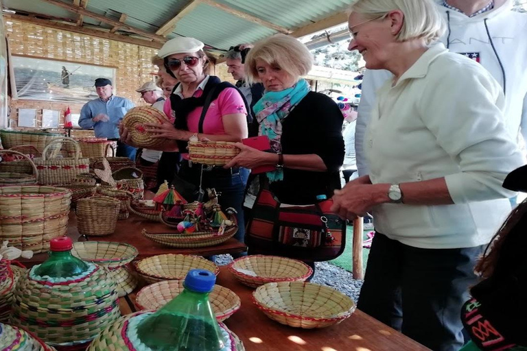 Puno: Full Day Aymara Route + Little Rome America + Spanish/English Tour Guide