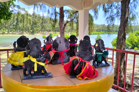 Autentyczna wycieczka z przewodnikiem na rowerze elektrycznym po północnym wybrzeżu