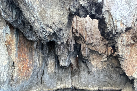 Zakynthos : Tour en bateau privé Île de la Tortue Grottes Mizithres