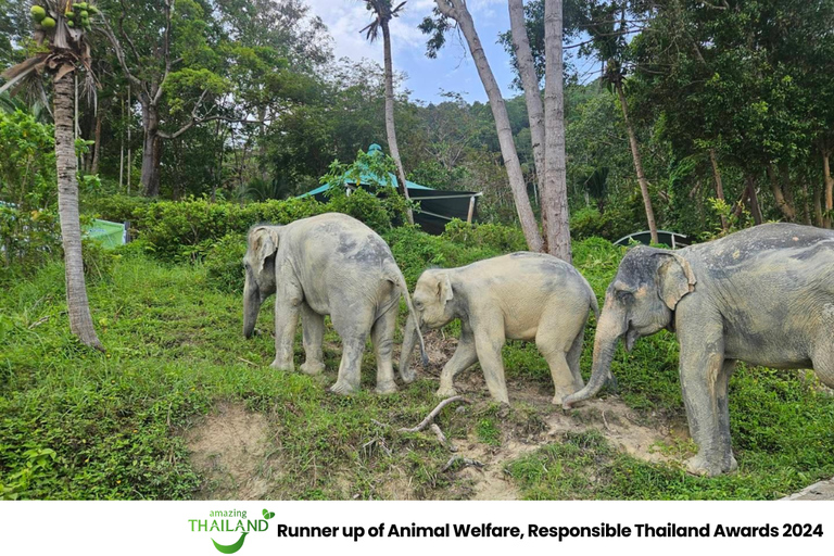 Khao Lak: Guided Tour to Elephant Sanctuary & Hotel Transfer