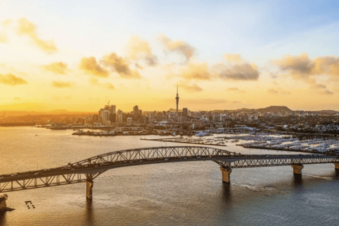 Auckland: Visita panorâmica de degustação de vinhos com almoçoAuckland: Tour panorâmico de degustação de vinhos com almoço