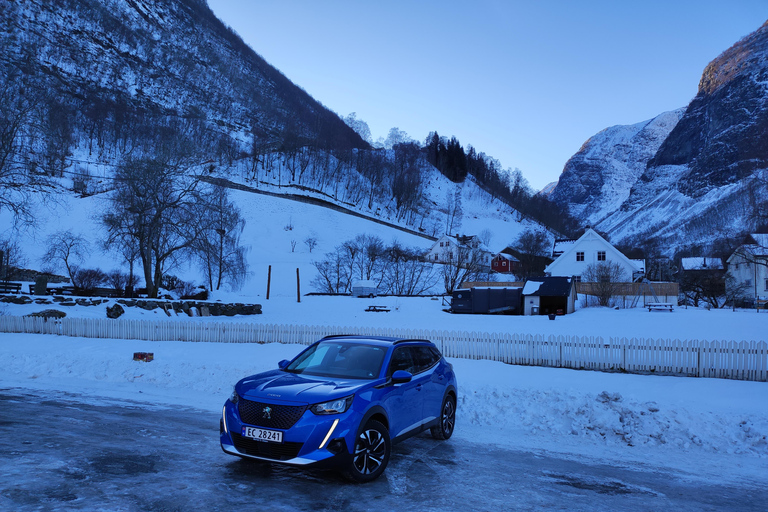 Bergen Private Tour: Nærøyfjord with Stegastein & Flåmsbana