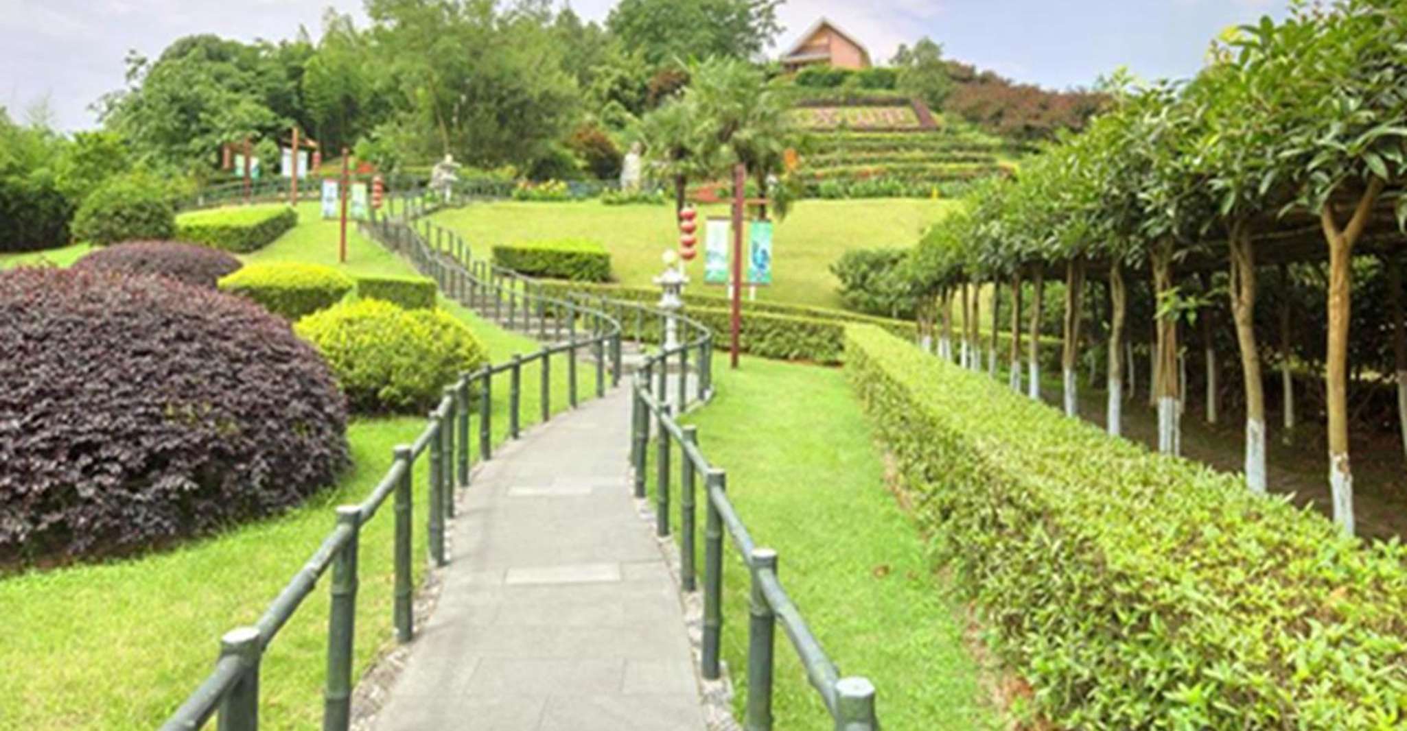 Excursão privada de um dia a Chengdu panda e Leshan Buddha - Hizvo