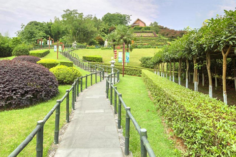 Chengdu panda & Leshan Buddha One Day Private Tour Panda & Buddha One Day Private Tour(Chinese driver only)