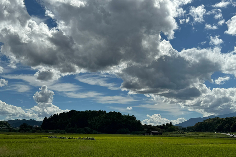 Nara: Spiritual Heart and Scenic Beauty of Asuka Village