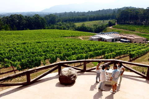 Het uitkijkpunt van Valmiñor