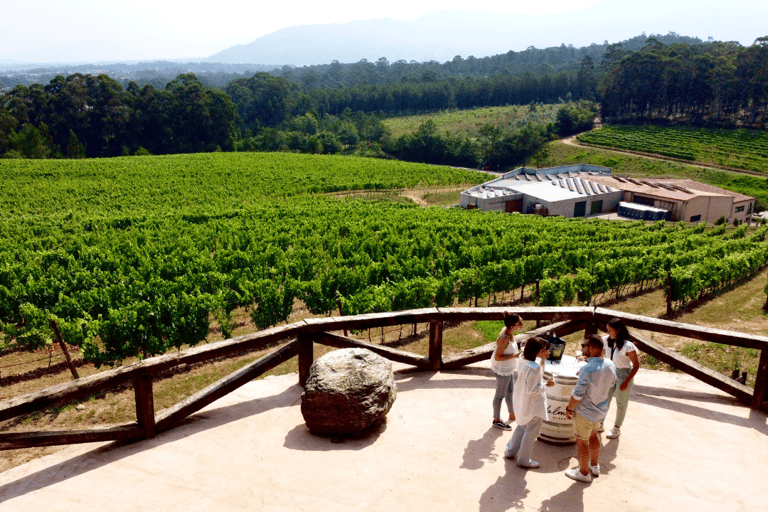 Il punto di vista di Valmiñor