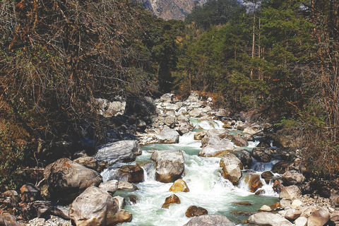 Pokhara: pacote de experiência de natação natural no rio Himalaia