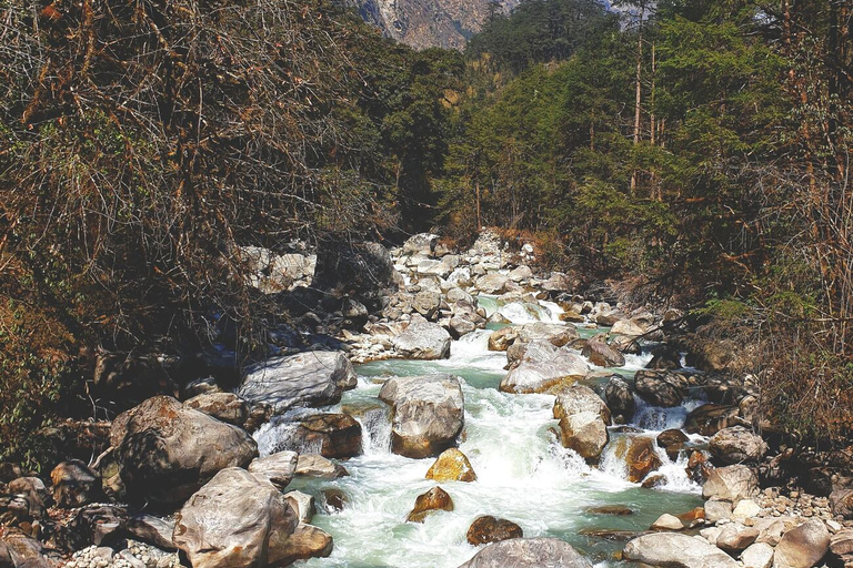 Pokhara Paquete de Experiencia Natural de Natación en el Río Himalaya