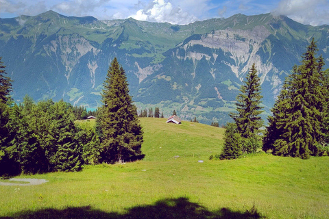 Interlaken: Scenic Walk and Raclette by the Mountain Lake