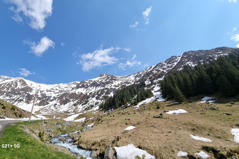 From Bucharest: Private Tour Transfagarasan & Dracula Fort