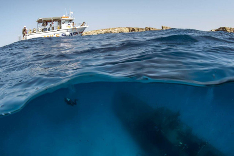 Qawra: Comino & Gozo Boat Tour with Snorkeling & SUP