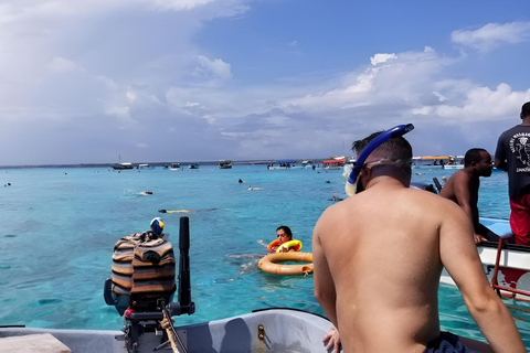 Zanzibar: Mnemba Magic snorkling och delfinupptäckt