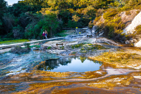 From Auckland: Waitomo Cave and Orakei Korako Group Day Tour