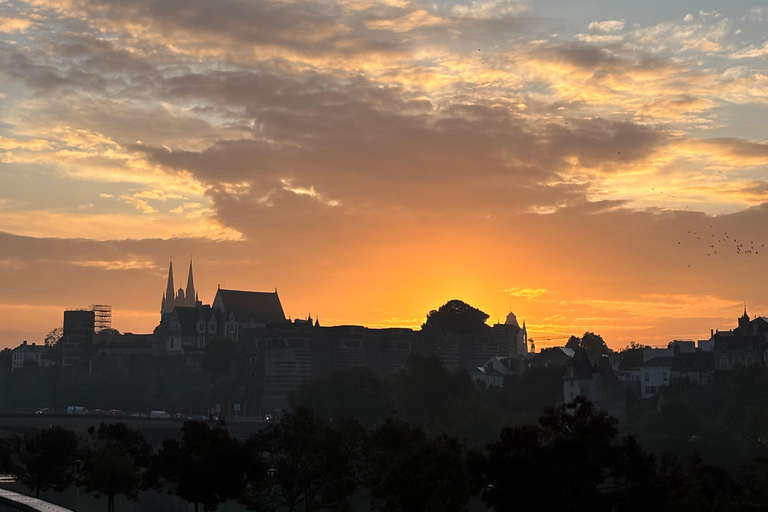 Besichtigung des Château d&#039;Angers und Weinprobe