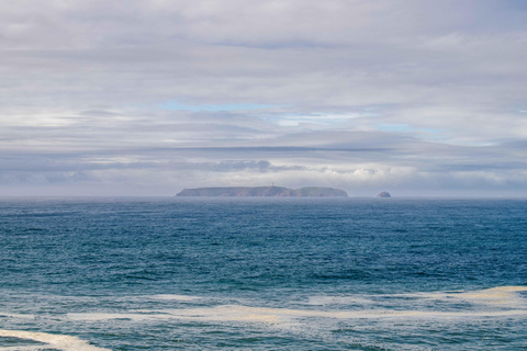 From Lisbon: Óbidos and Peniche Day Tour with Local Guide