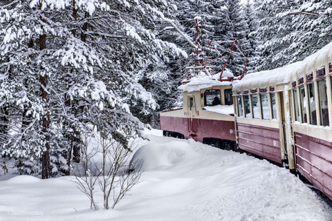 From Tbilisi Bakuriani and Borjomi Day Trip