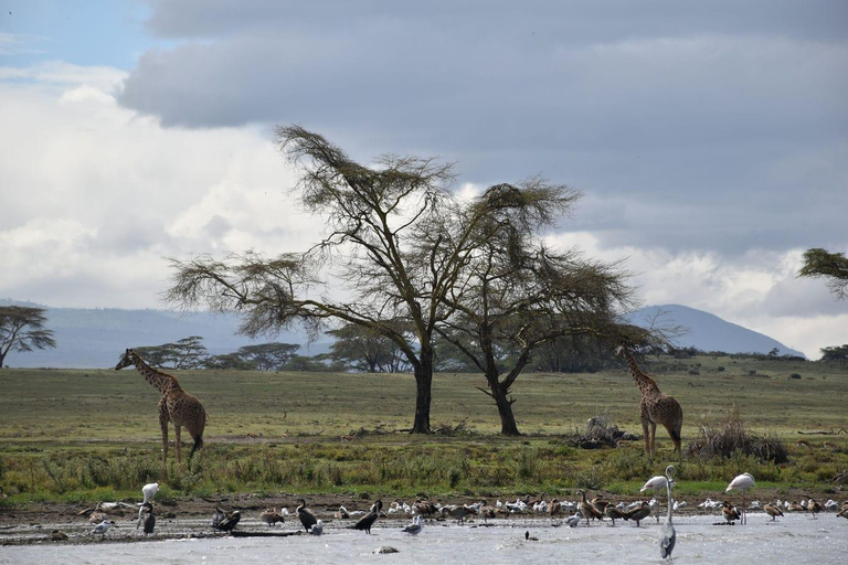 Tsavo Amboseli & Tsavo Expedition Safari Tour