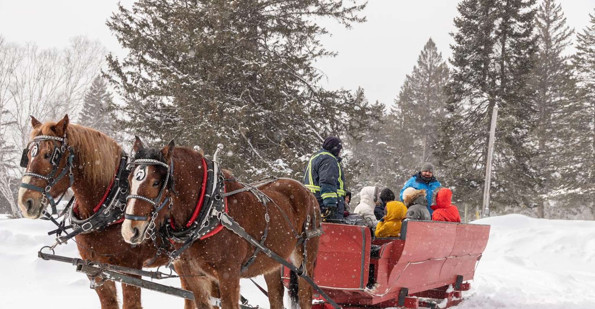 Mont-Tremblant, Sleigh Ride w/ Storytelling & Hot Chocolate - Housity