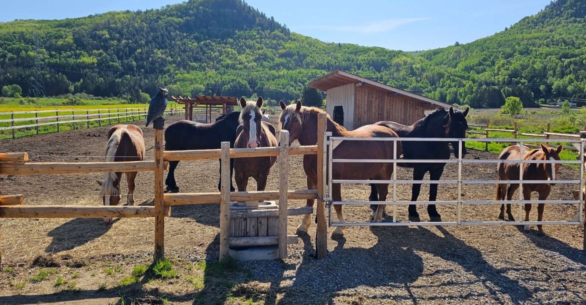 La Vallée, A charming introduction to horseback riding - Housity
