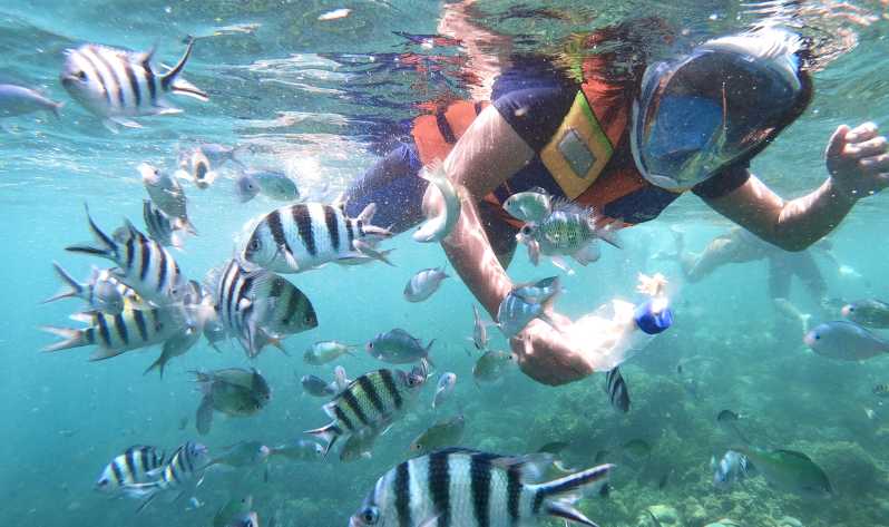 Lombok: Gili Islands Private Snorkeling Boat Trip