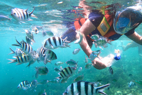 Lombok : Excursion en bateau privé de plongée en apnée dans les îles Gili