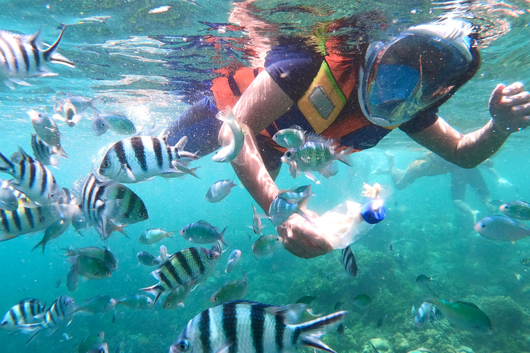 Lombok: Snorkeling privato a Gili Nanggu, Sudak e Gili Kedis