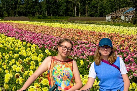 Région des bulbes : Tour cycliste des dahlias