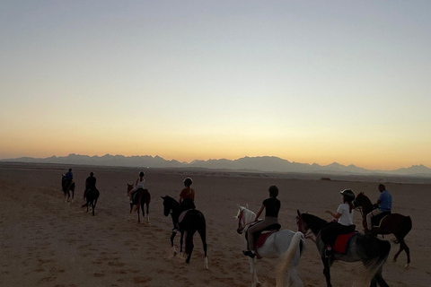 Soma Bay: Reittour mit HoteltransferSoma Bay: Reittour ohne Hoteltransfer