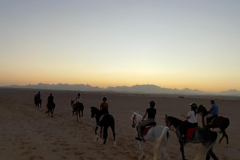 Soma Bay: Reittour mit HoteltransferSoma Bay: Reittour ohne Hoteltransfer