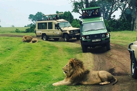 4-daagse semi-luxe safari