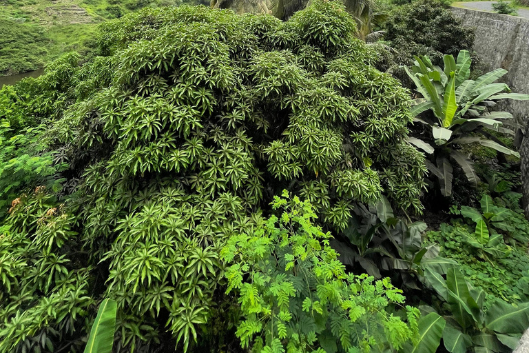 Serra Malagueta - Ribeira de Gongon - Hortelão Hike Hike Serra Malagueta - Ribeira de Gongon - Hortelão