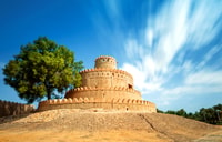 Al Ain City Tour With Lunch - Housity