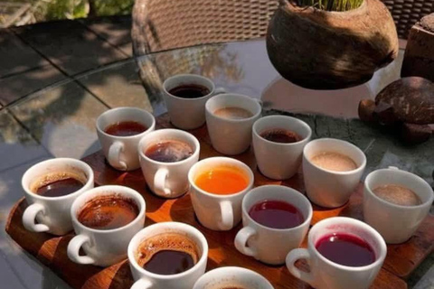 Ubud: tour in quad, rafting e piscina a sfioroTour in quad tandem, rafting e piscina a sfioro