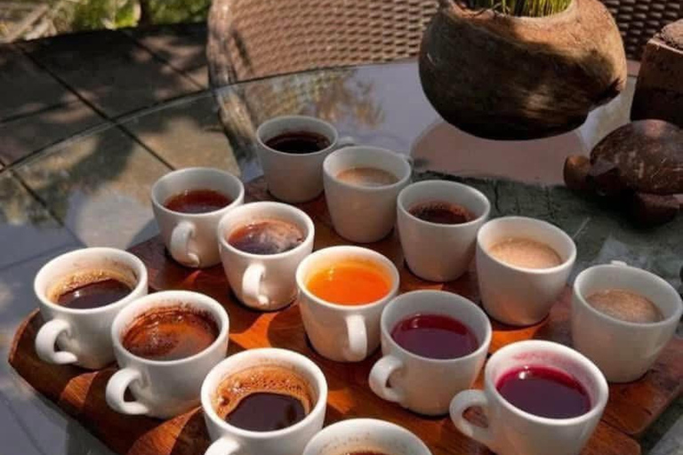 Ubud: tour in quad, rafting e piscina a sfioroTour in quad tandem, rafting e piscina a sfioro