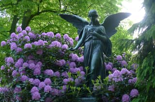 Friedhof Ohlsdorf: 2 Std individuelle Führung
