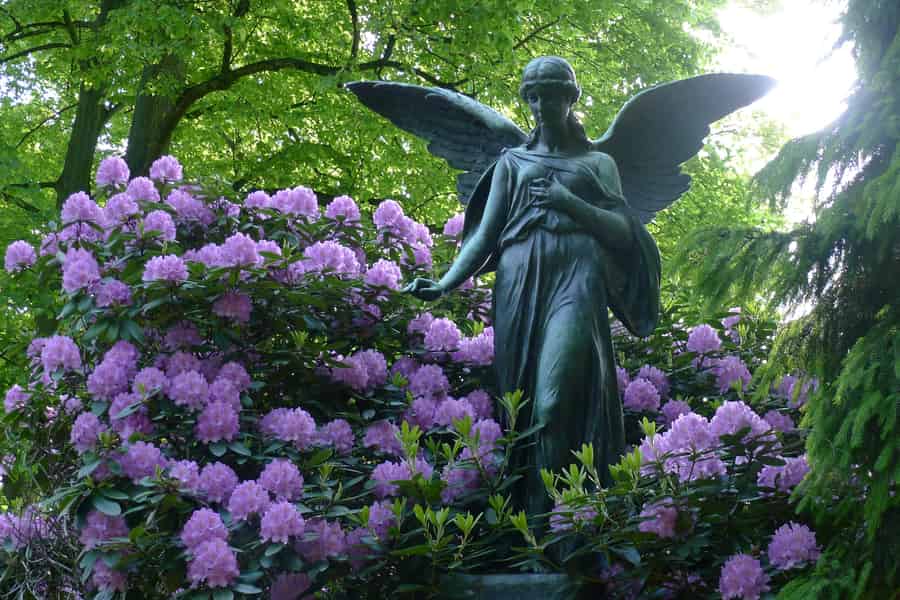 Friedhof Ohlsdorf: 1,5 Std individuelle Führung. Foto: GetYourGuide Friedhof Ohlsdorf: 1,5 Std individuelle Führung. Foto: GetYourGuide