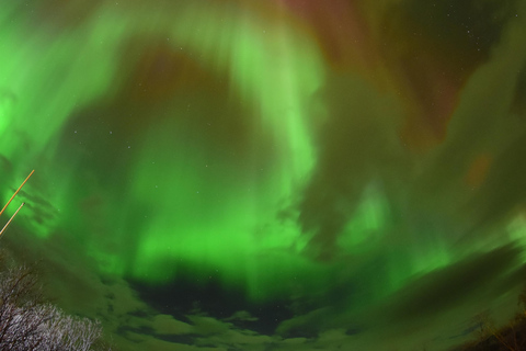 Abisko: Aurora chasing with snowmobiles Aurora chasing - Sled