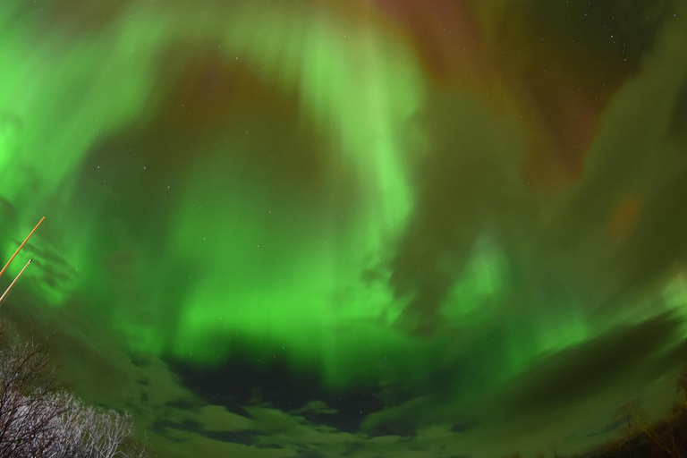 Abisko: Persegue a aurora com motas de nevePerseguição Aurora - Trenó