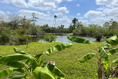 Miami: Everglades Small Group Tour in French Miami: Guided Everglades Tour in a Small Group in French