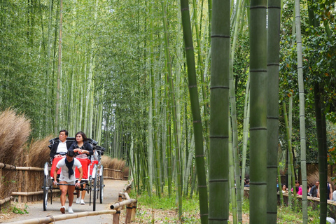 Från Kyoto: Kyoto privat skräddarsydd sightseeing dagsutflykt